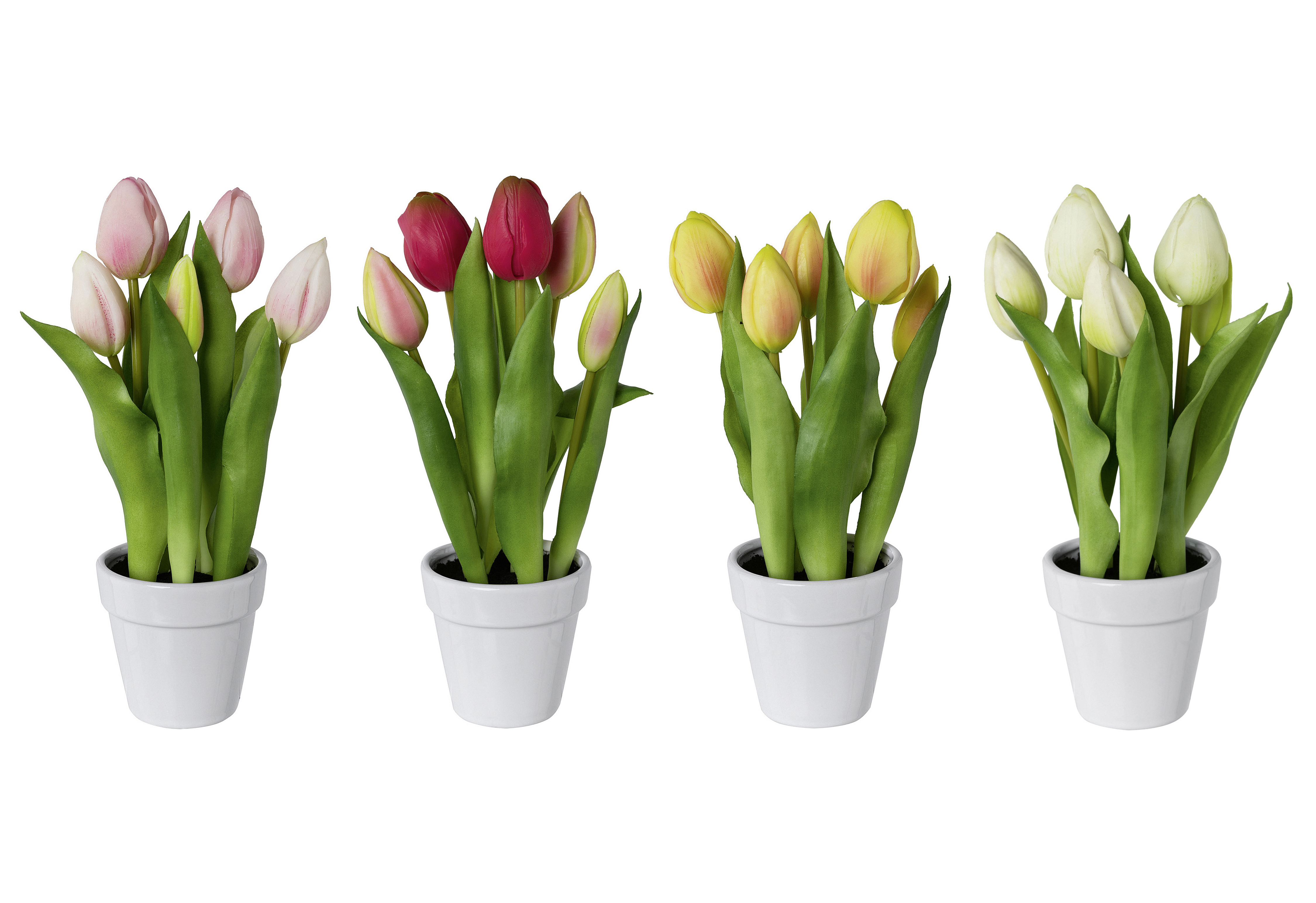 Tulpen im Keramiktopf 14x14x25cm rosa/pink/hellgelb/weiß sortiert