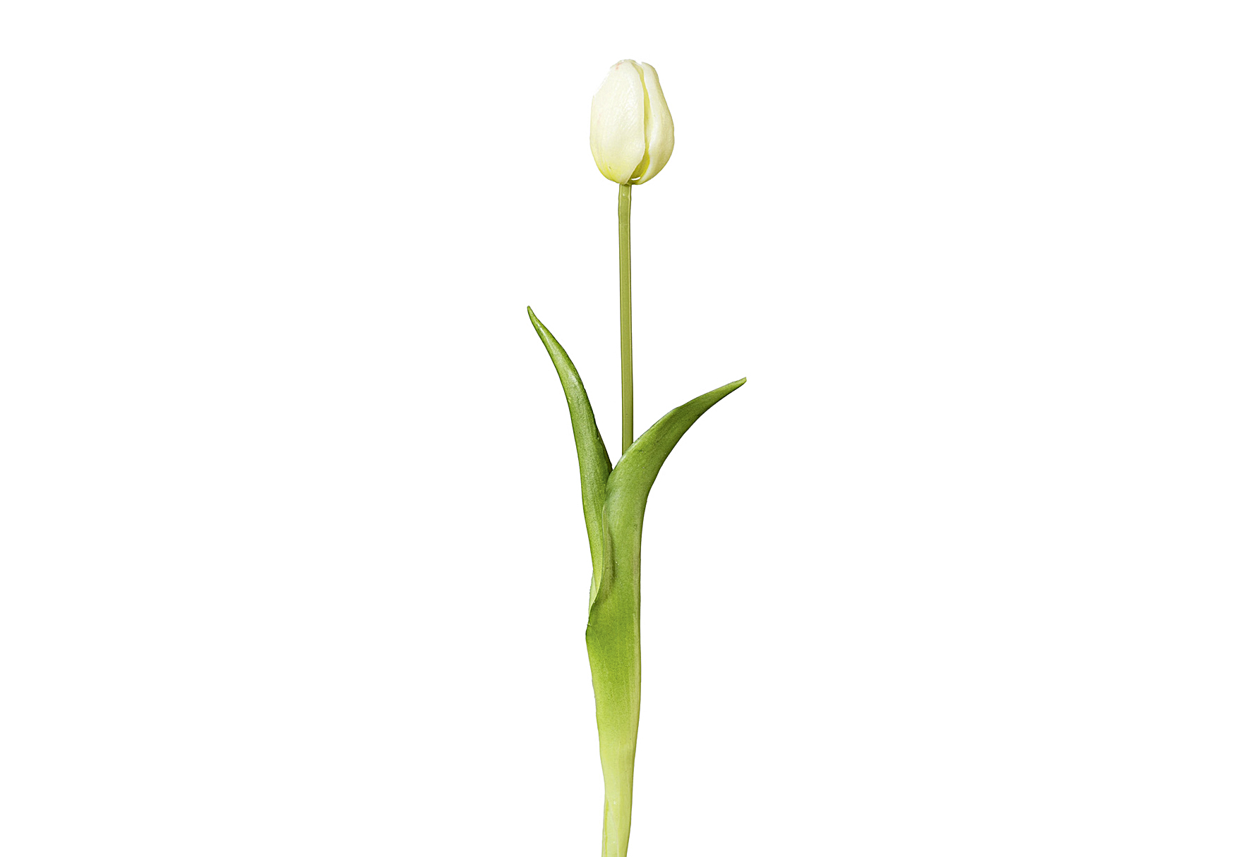Tulpe 44cm weiß