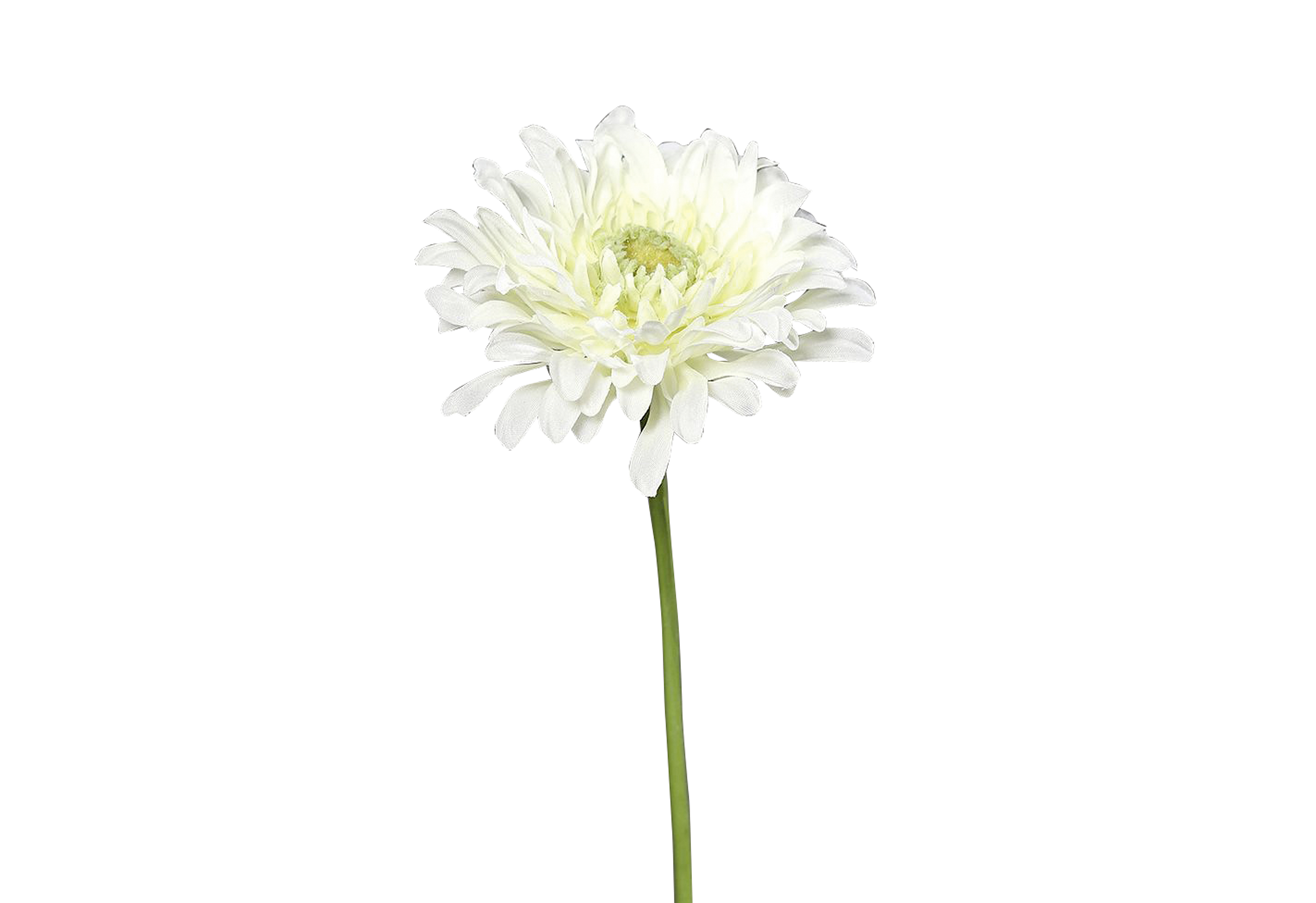 Gerbera 47 cm cream