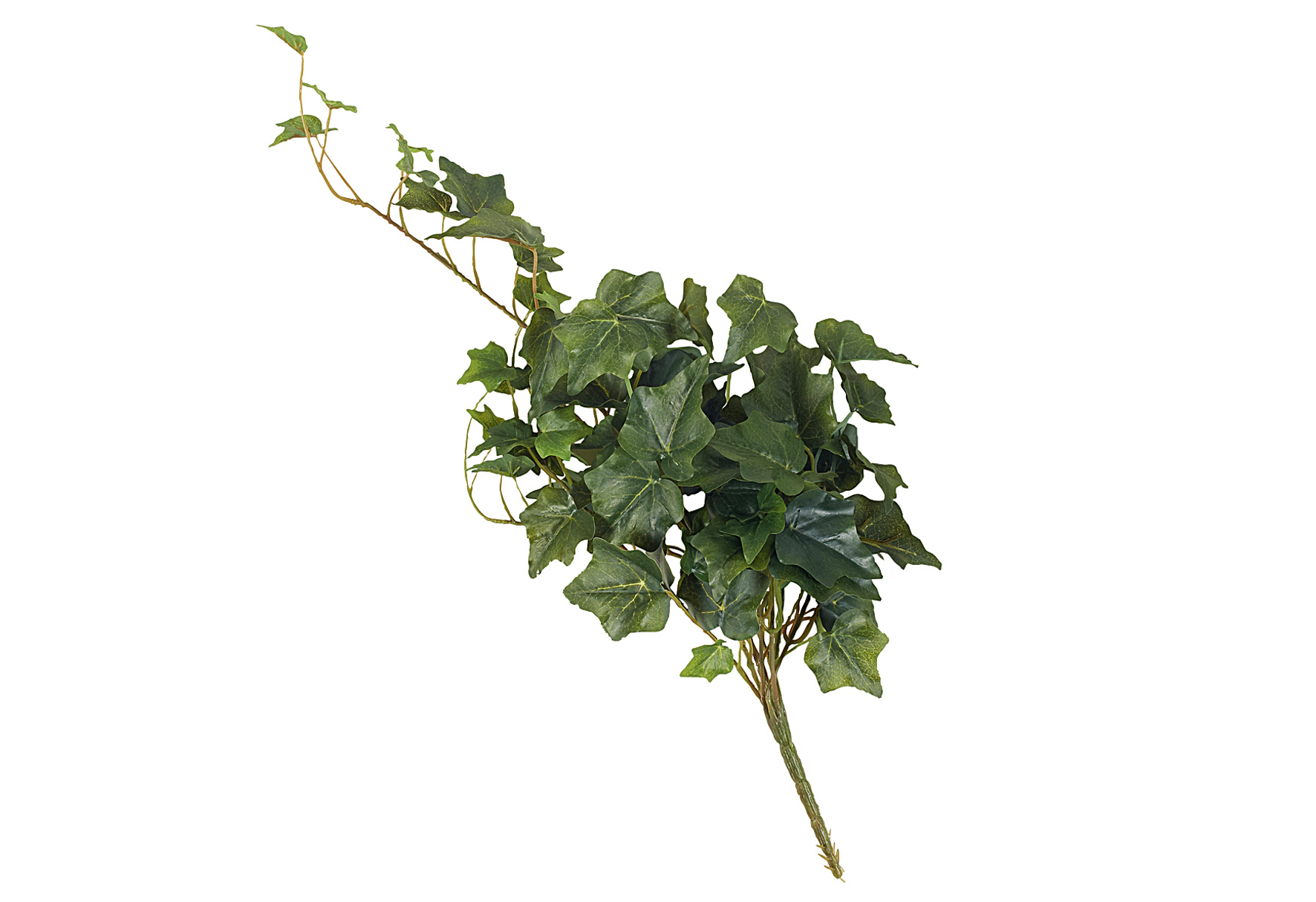 Efeu-Hänger 45cm grün