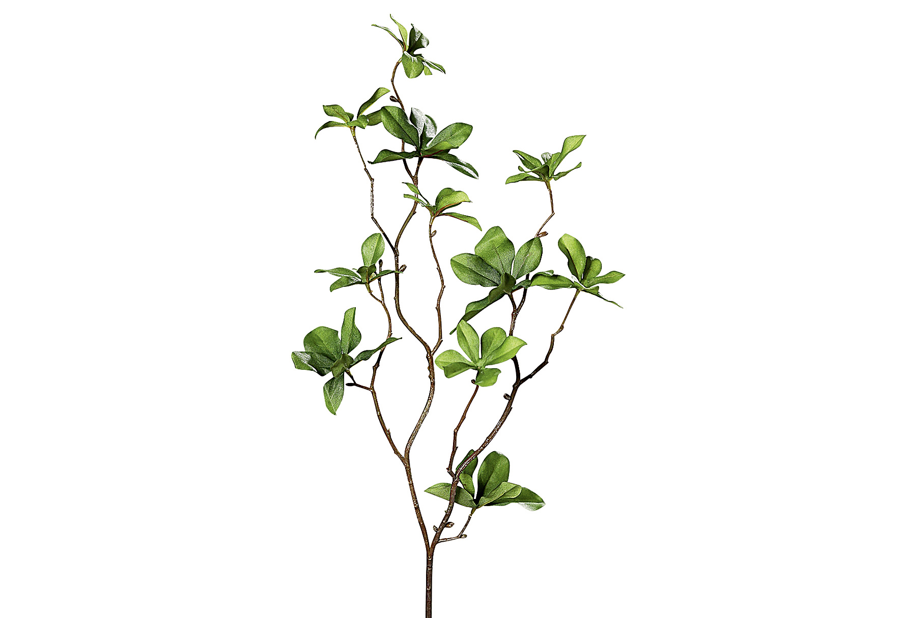Collina-Blattzweig 66cm