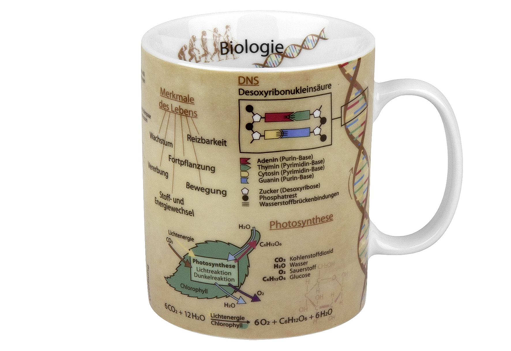 Kaffeebecher 'Wissensbecher Biologie'