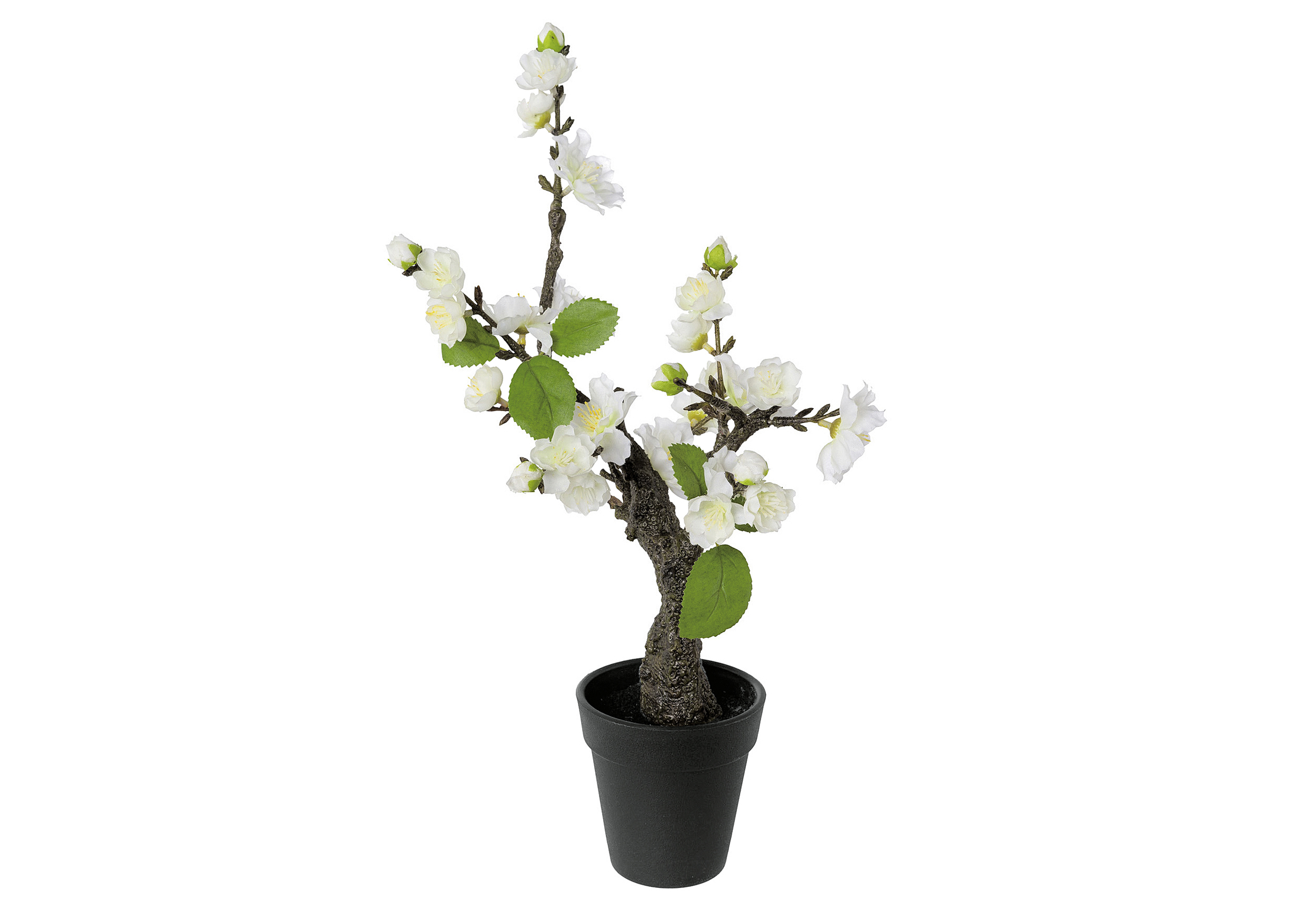 Kirschblütenbonsai im Topf 32cm weiß