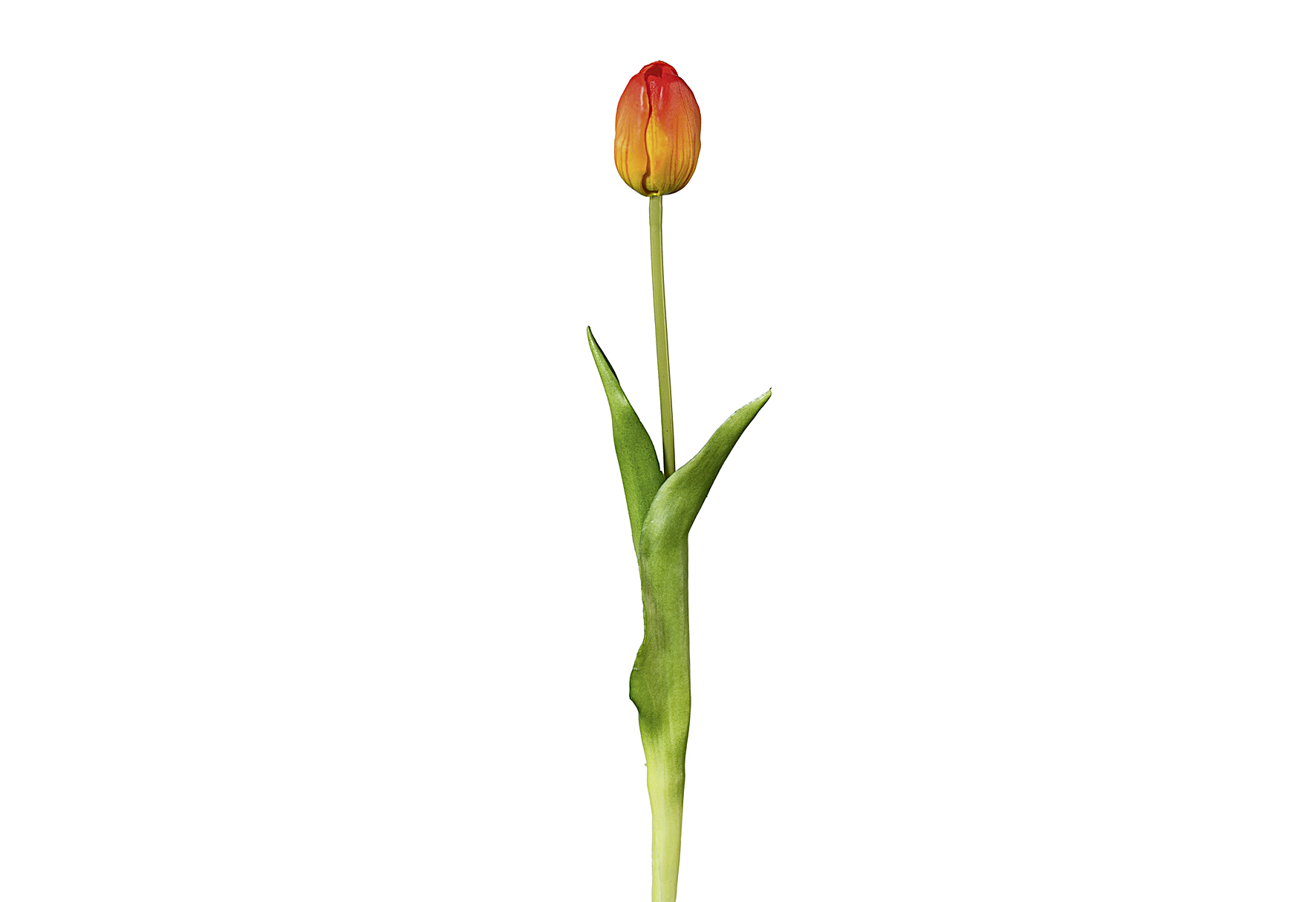 Tulpe 44cm orange
